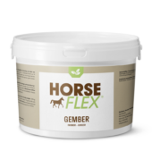 Horseflex Ingver 1kg 10