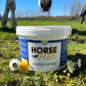 HorseFlex Glucose support 10